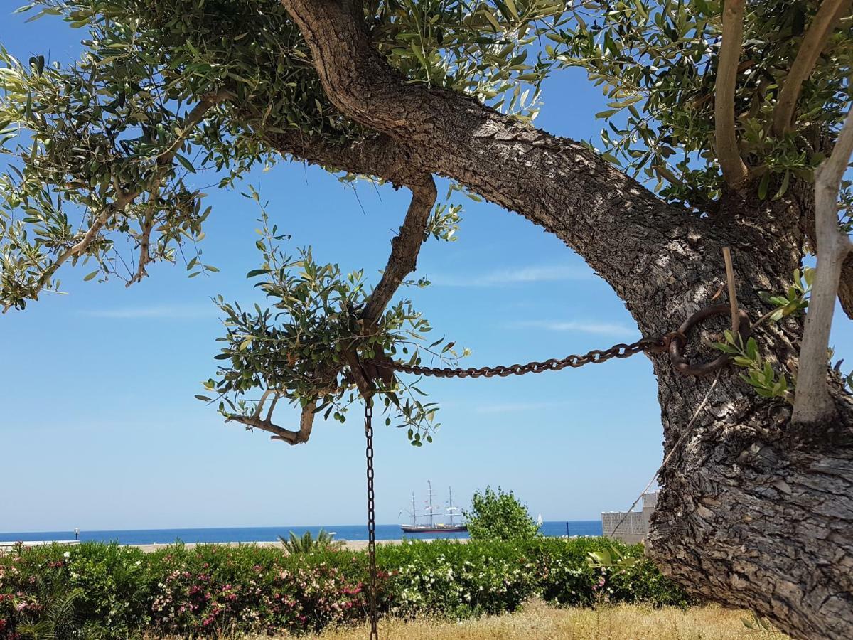 Bed & Breakfast Del Faro Giovinazzo Buitenkant foto